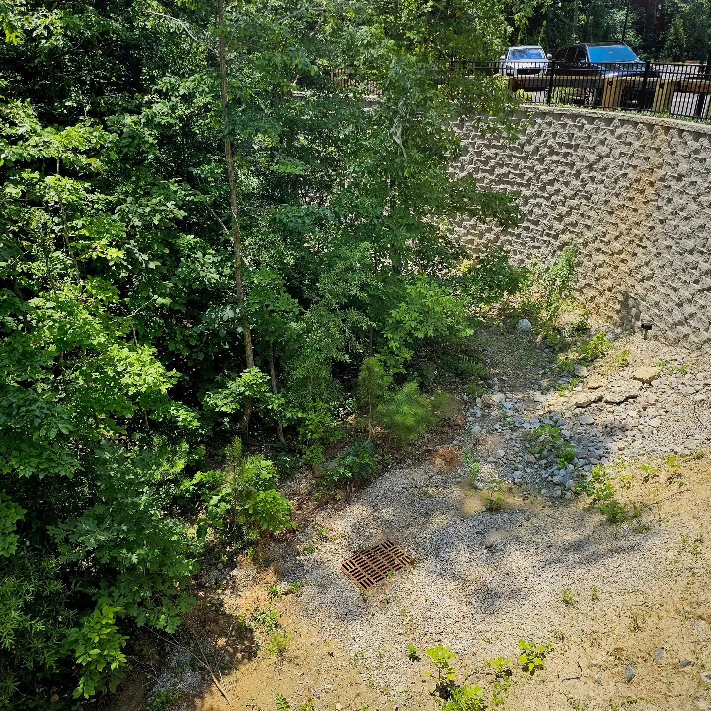 A shaded drainage channel runs between trees and a stone retaining wall beneath parked vehicles.
